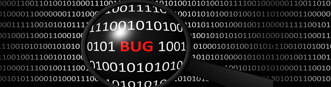Company Inc Bug Bounty Program